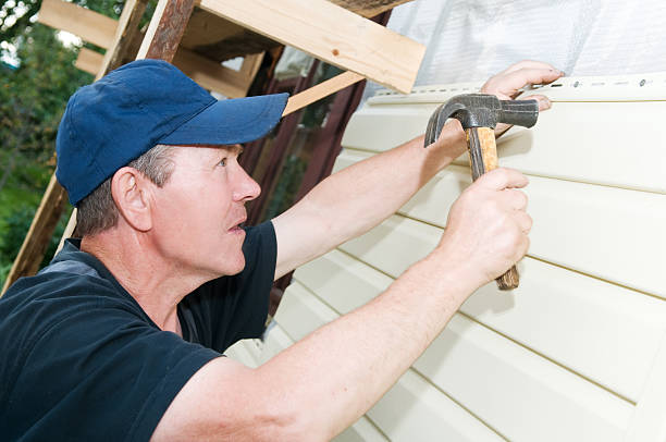Best Brick Veneer Siding  in Bonifay, FL