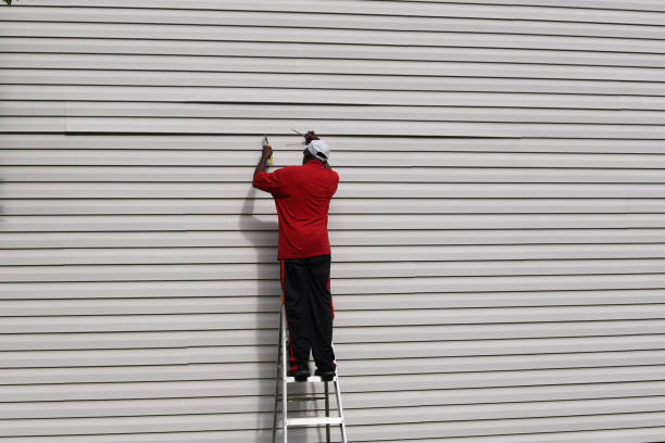 Best Storm Damage Siding Repair  in Bonifay, FL